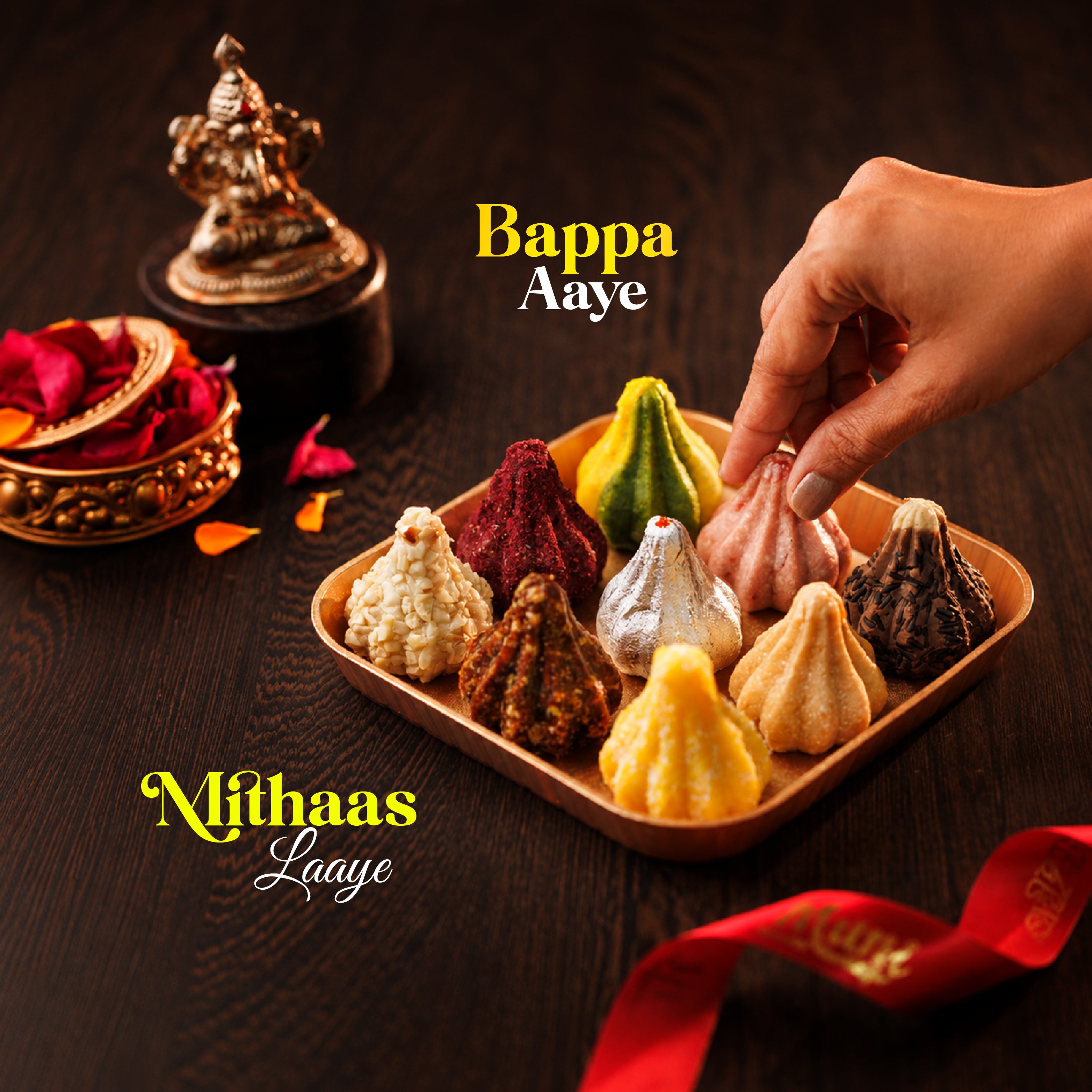 9 pcs mix modak